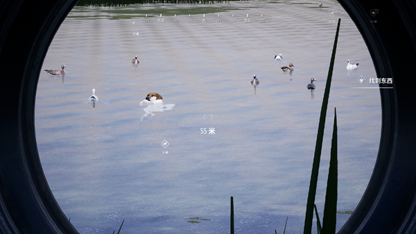 模拟狩猎2.Hunting Simulator 2_2