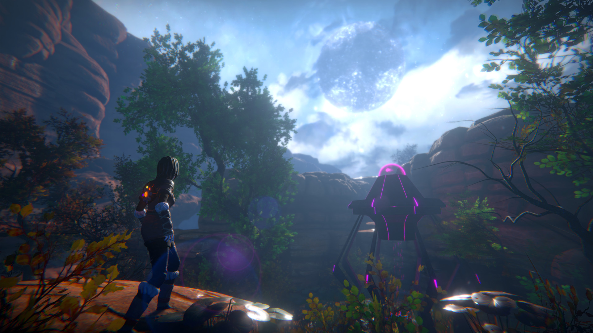 生命的种子.Seed of Life