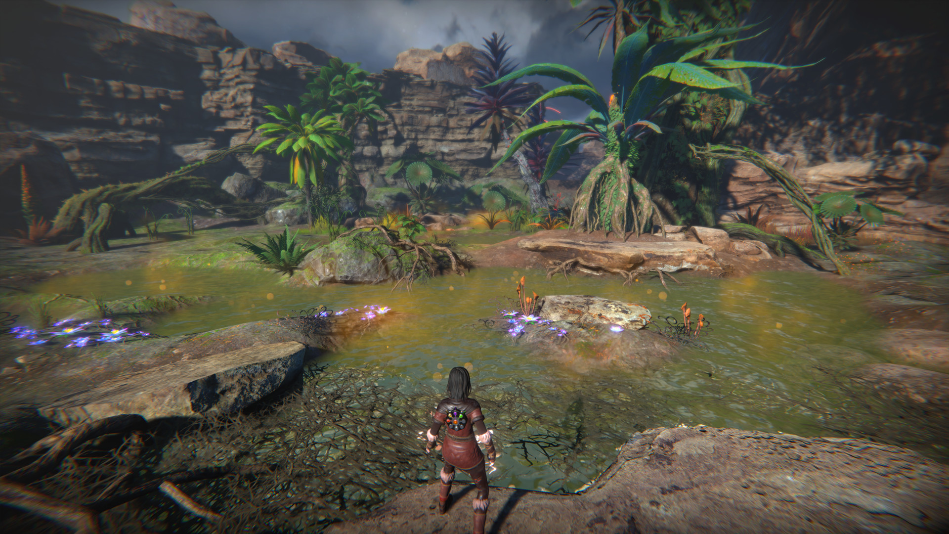 生命的种子.Seed of Life_1