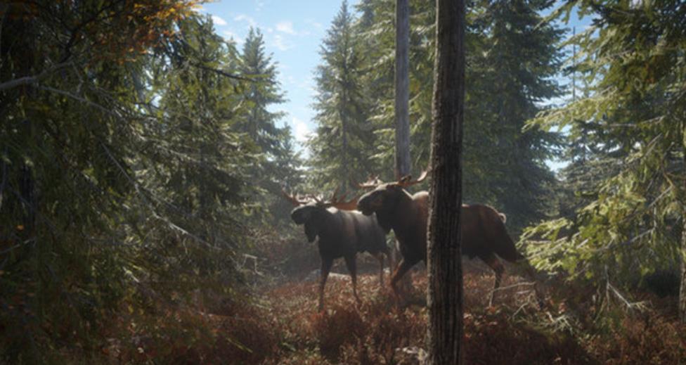 PS4《猎人荒野的召唤 – 完整版.theHunter: Call of the Wild Complete Collection》中文版下载【1.93补丁+49DLC】