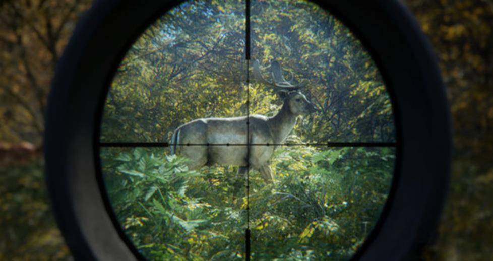 猎人:荒野的召唤 – 完整版.theHunter: Call of the Wild Complete Collection_2