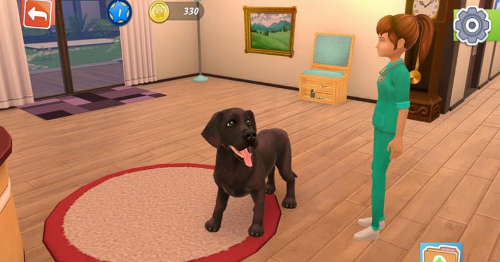 动物医院.Animal Hospital