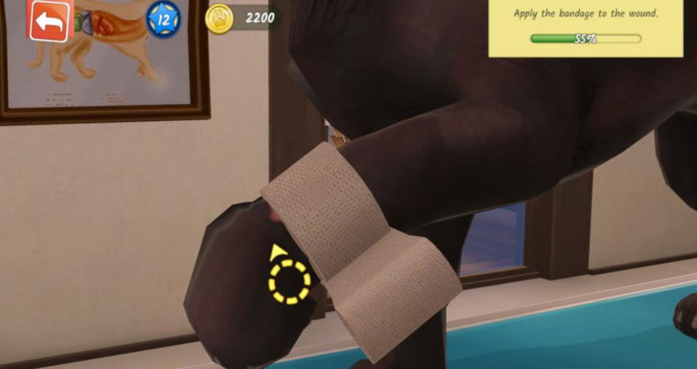 动物医院.Animal Hospital_1