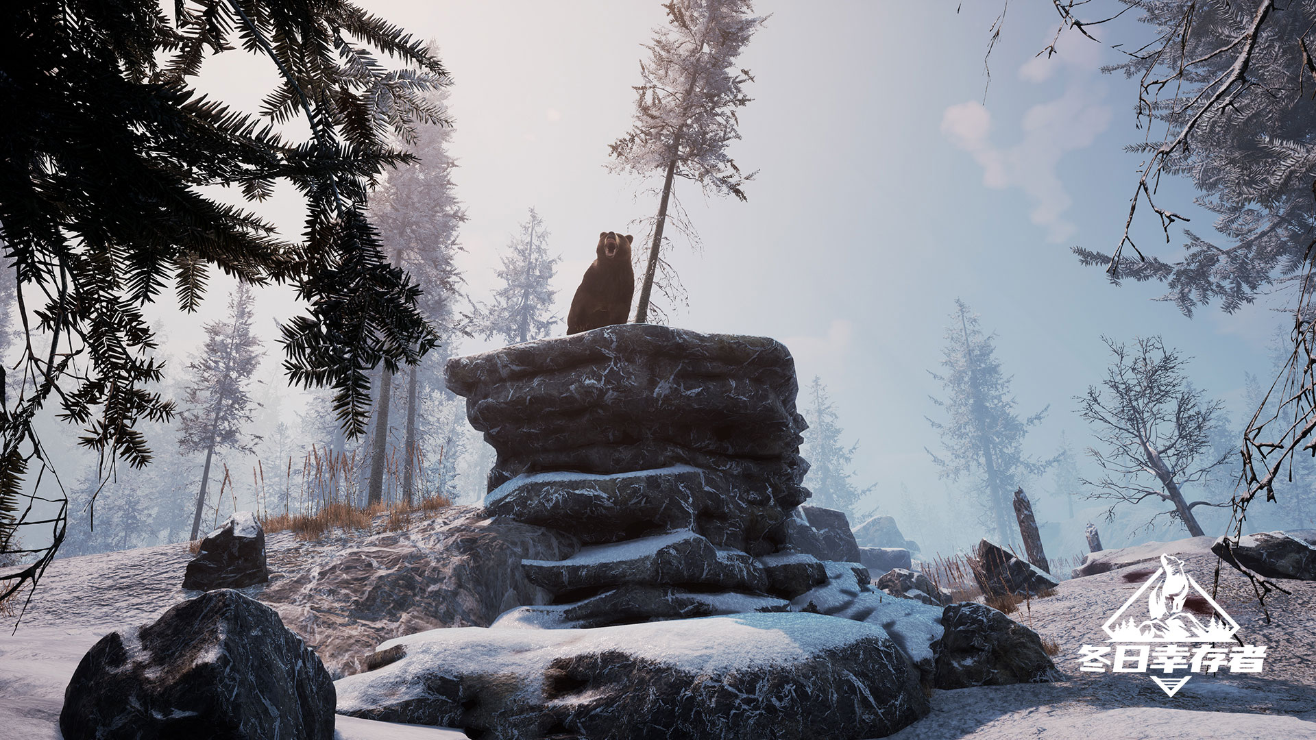 冬日幸存者 Winter Survival