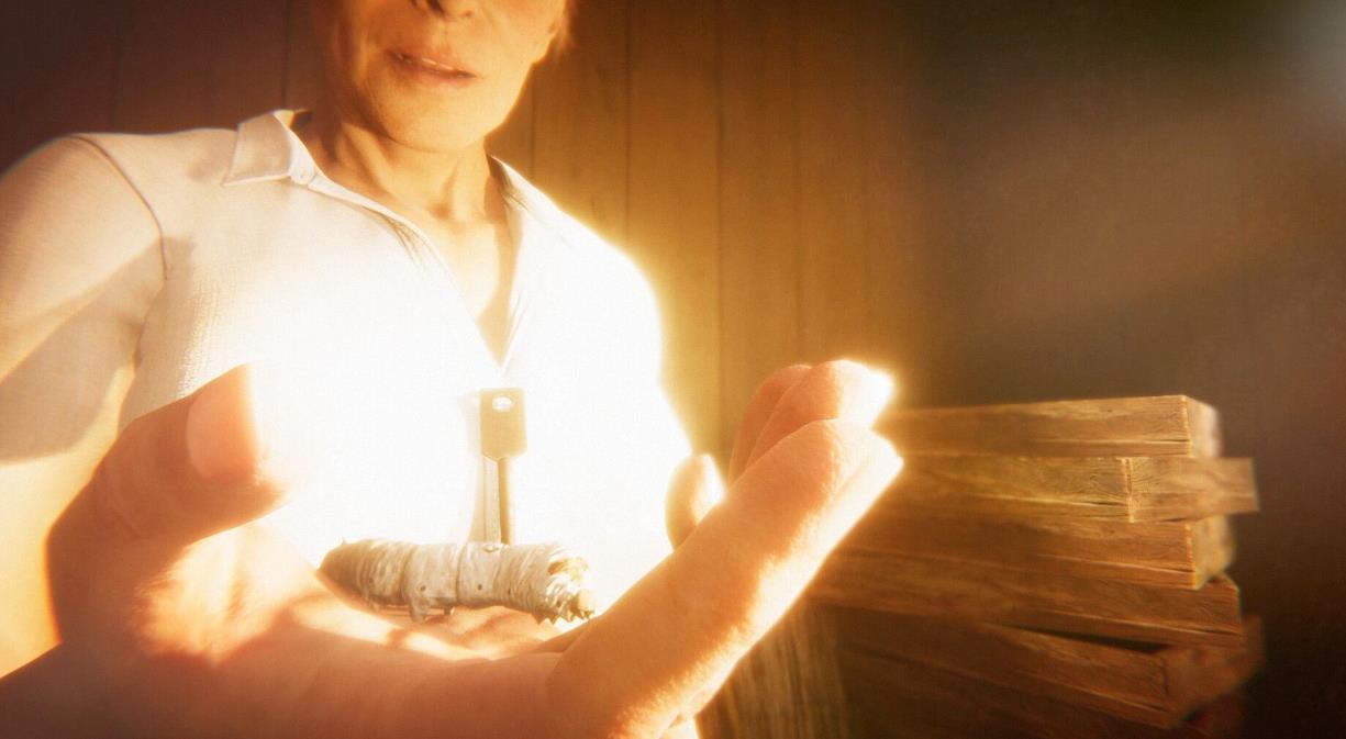 茧中蚕 Hollow Cocoon_1