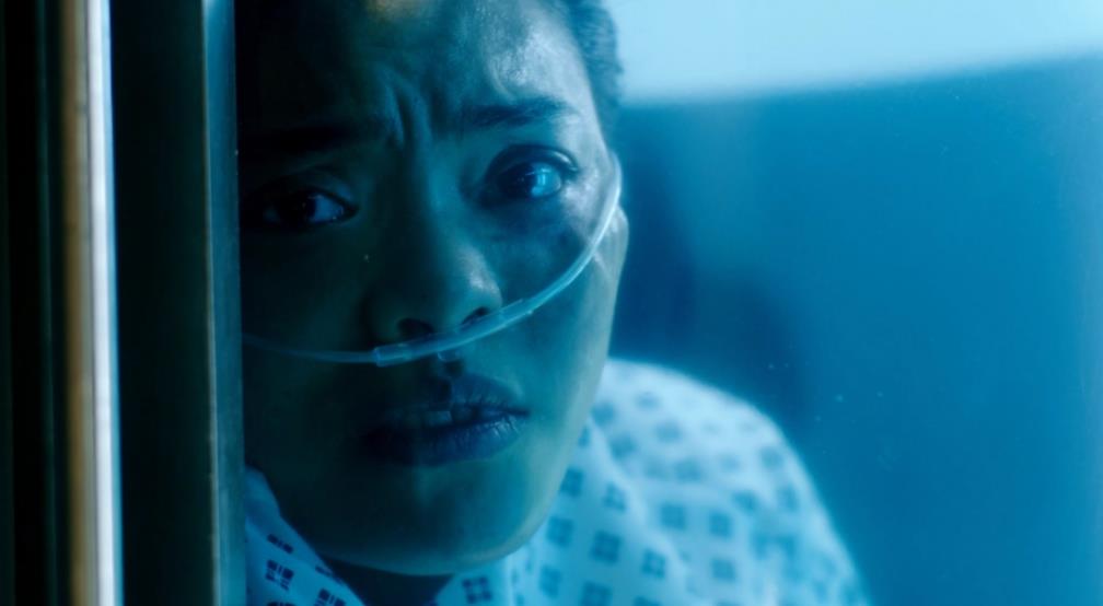 复体.The Complex_1