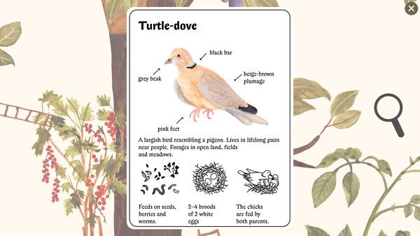 小老鼠的百科全书 Little Mouse's Encyclopedia_1