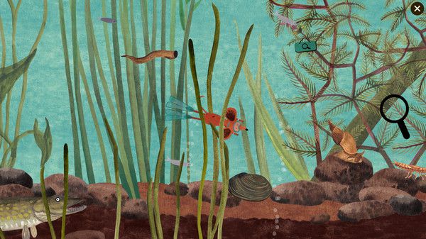 小老鼠的百科全书 Little Mouse’s Encyclopedia