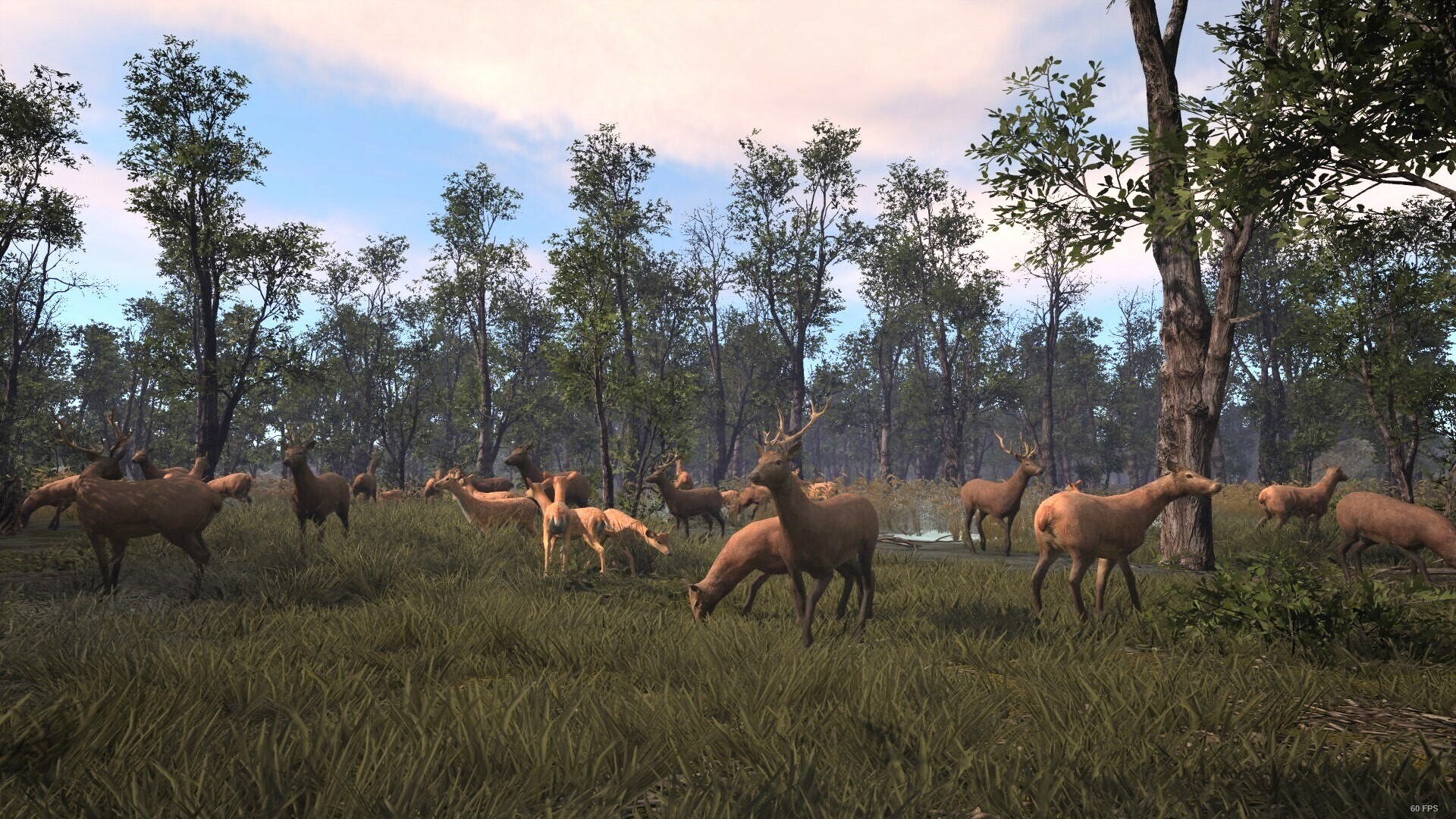 《古老城市 Ancient Cities》英文v1.0.4.19版