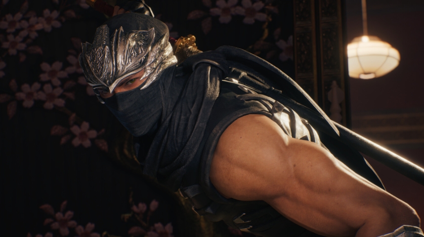 PC《忍者龙剑传2：黑之章/NINJA GAIDEN 2 Black》下载v1.0.0_1