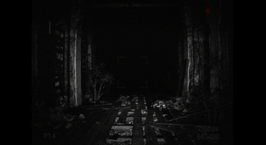 PC游戏《[录制] 荒芜 [REC] Desolation》中文v1.0.4