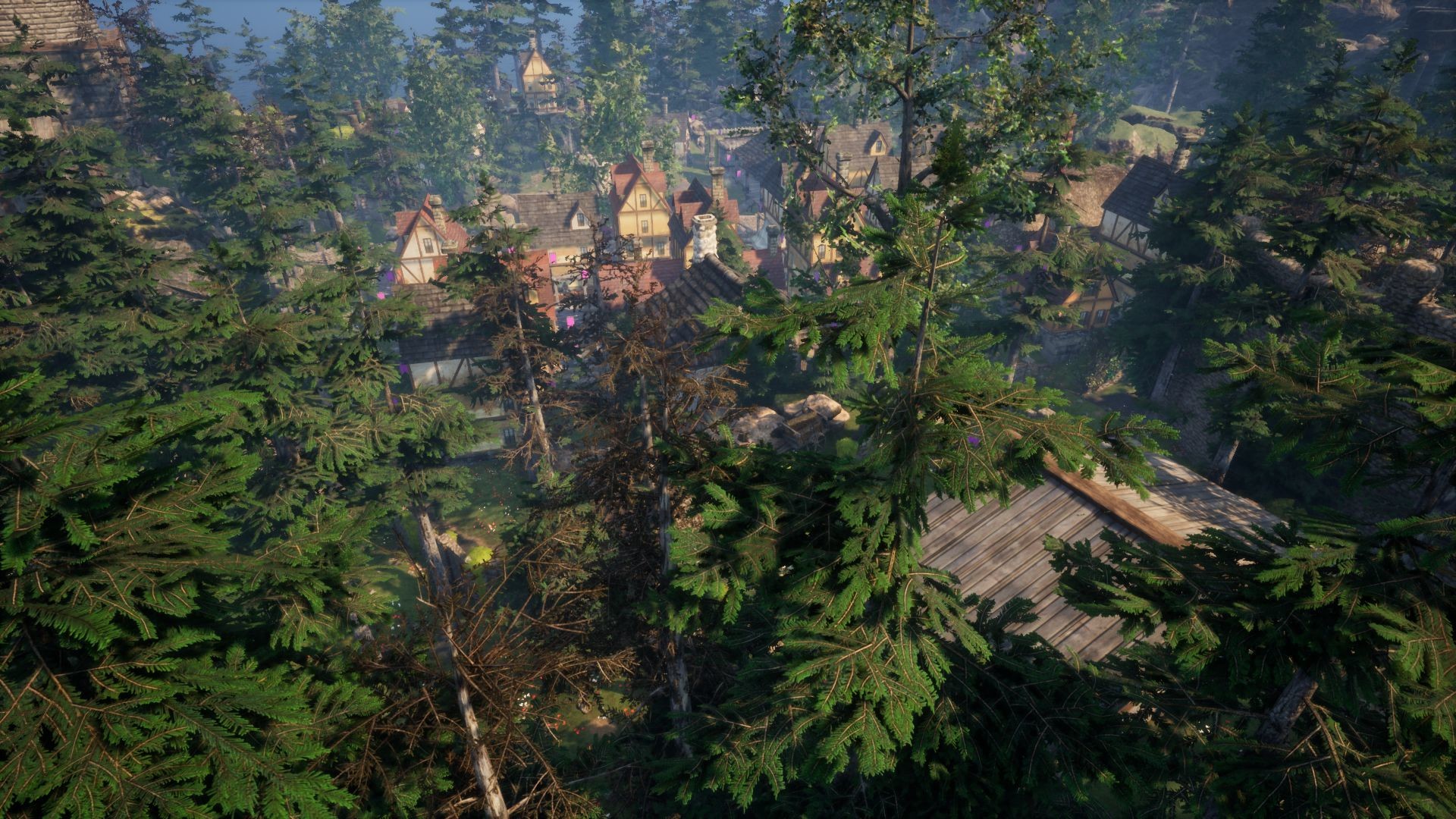 PC游戏《动物拯救者 Animal Rescuer》中文v8322114