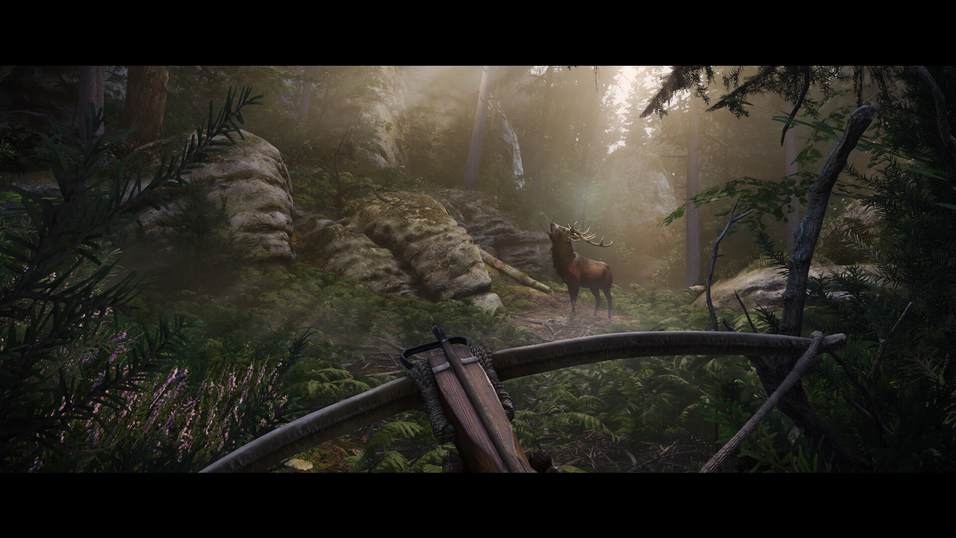 PC游戏《天国:拯救2/Kingdom Come: Deliverance II》中文版下载v1.1.1+整合15国语言_3