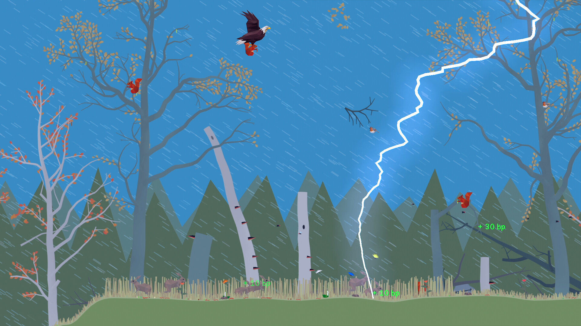 小松林/PolyPine_3