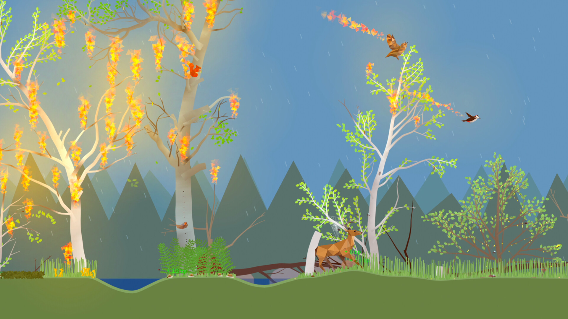 小松林/PolyPine_2