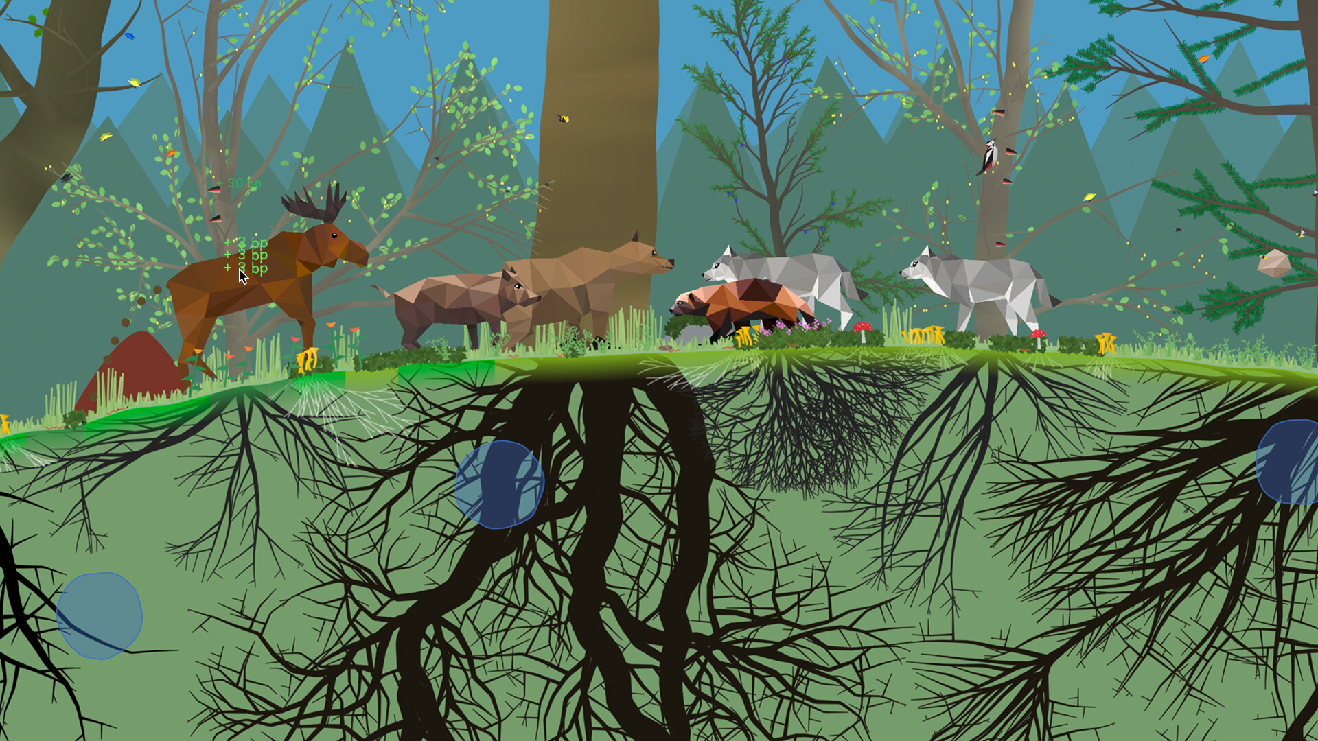 小松林/PolyPine_4