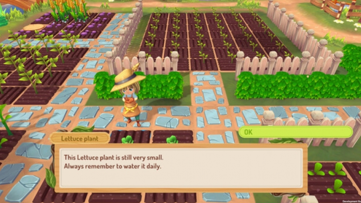 switch游戏《甘露岛 Sugardew Island》美版中文+1.0.4补丁