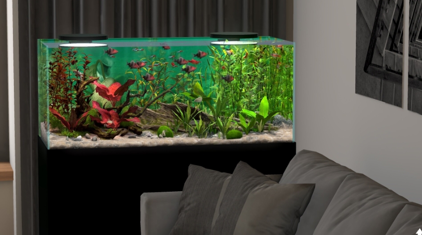 PC游戏《玻璃背后：水族馆模拟器 Behind Glass: Aquarium Simulator》中文v1.1