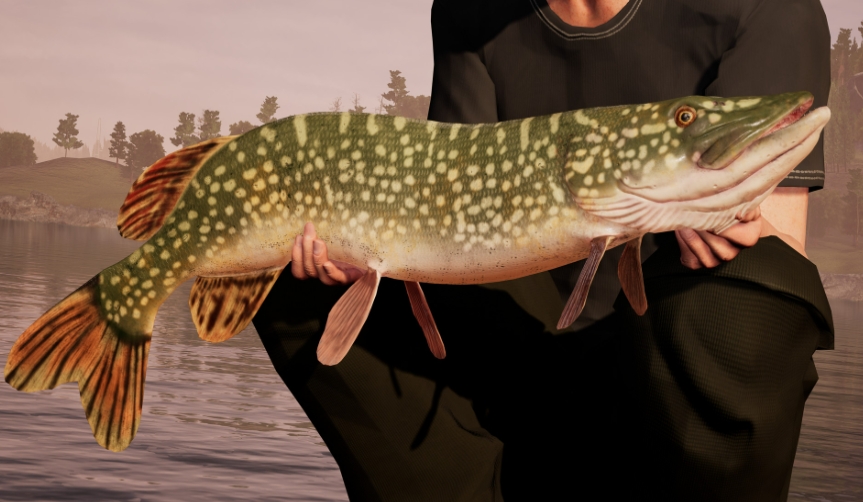 【6.72】PS4游戏《钓鱼模拟世界.Fishing Sim World》英文v1.24下载