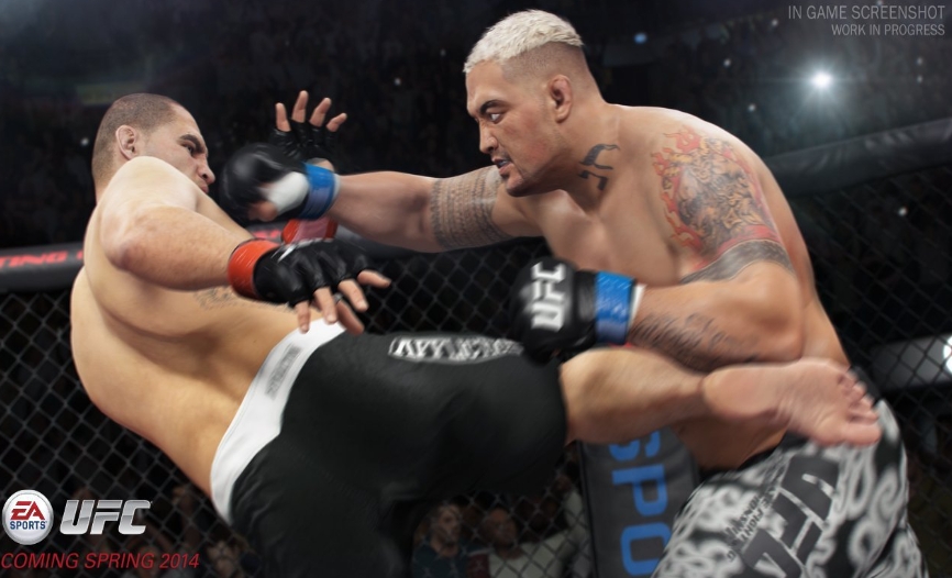 EA UFC 终极格斗冠军赛.EA Sports UFC_1