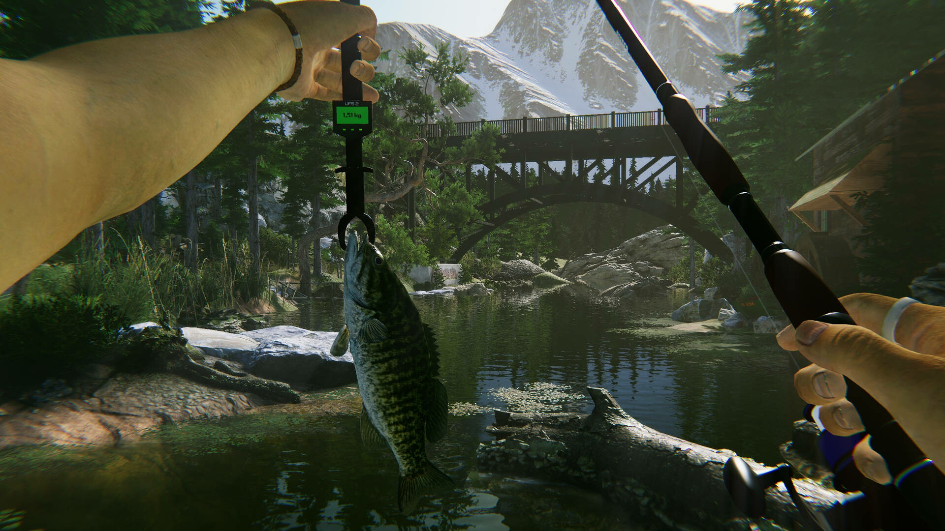 PC游戏《终极钓鱼模拟器2/Ultimate Fishing Simulator 2》中文v1.25.06.16下载