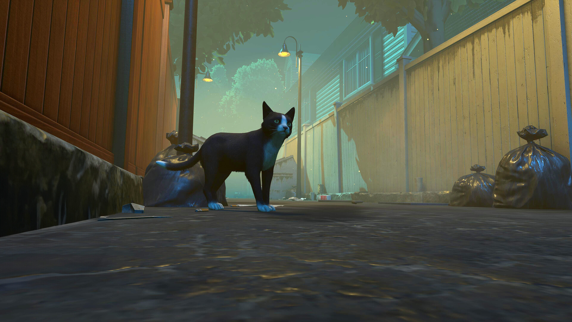 冒牌猫谜/Copycat_1