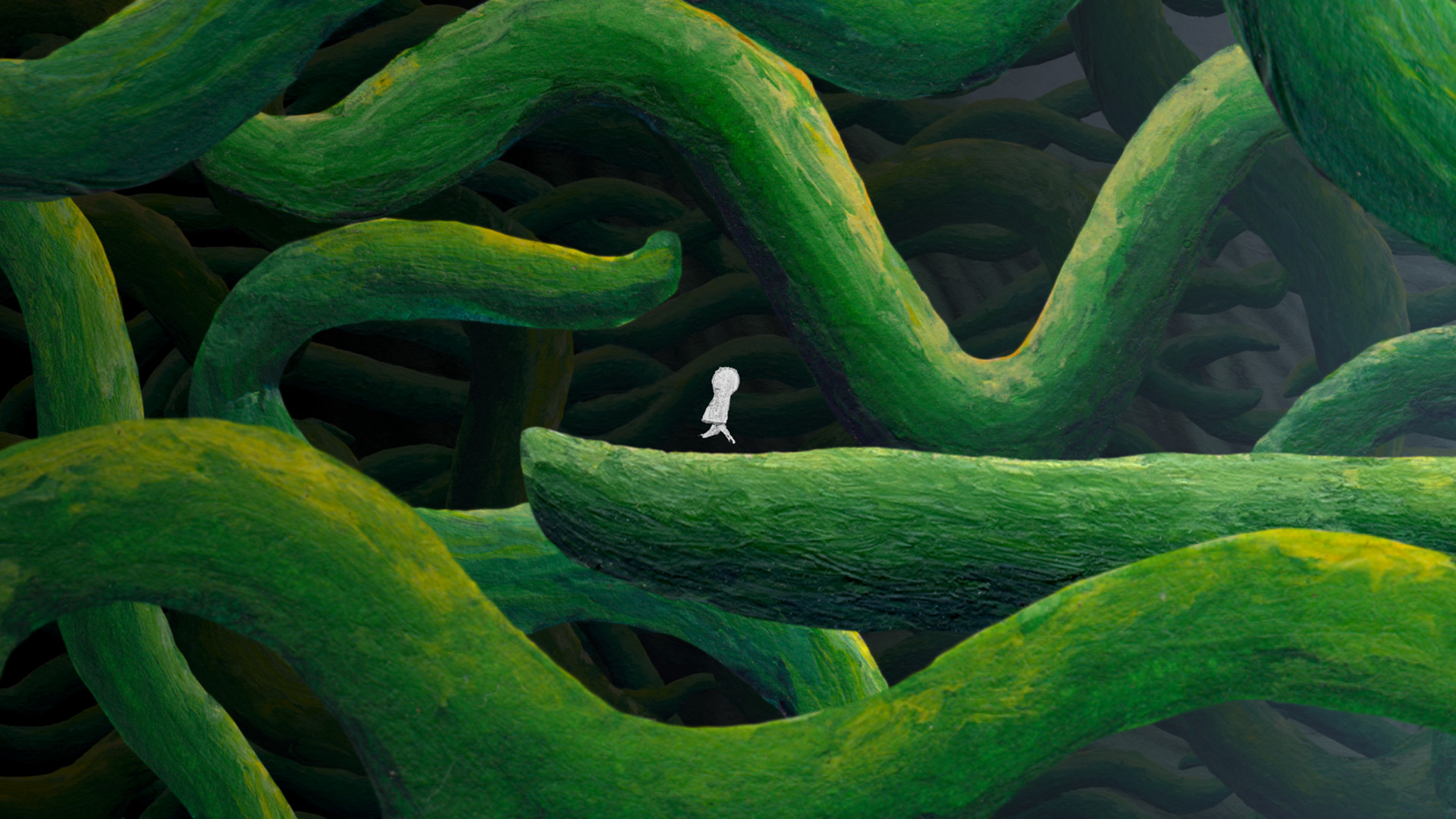 大师之眼/The Master's Pupil_1