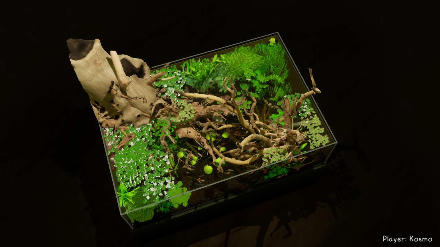 PC游戏《养鱼模拟器/Fish Game》英文v00.03.31下载