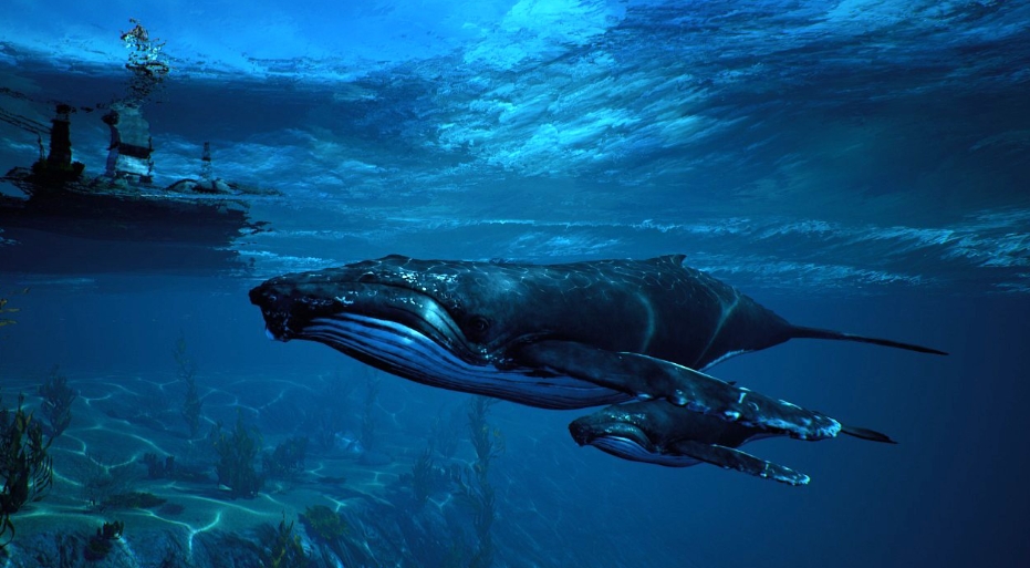 【5.05】PS4游戏《食人鲨：顶级掠食者版.Maneater Apex Edition》中文V1.05下载