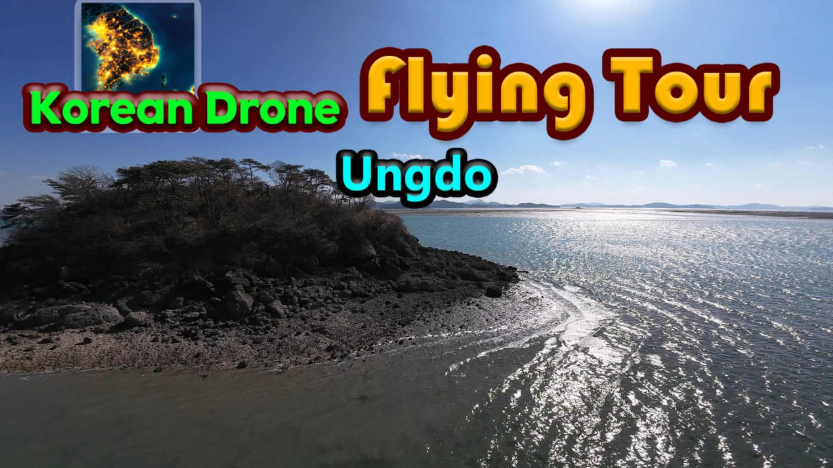 switch游戏《韩国无人机飞行游览雁岛 Korean Drone FlyingTour Ungdo》中文版下载