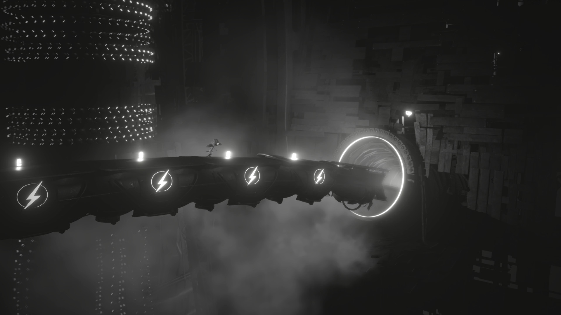 白色阴影/White Shadows_1