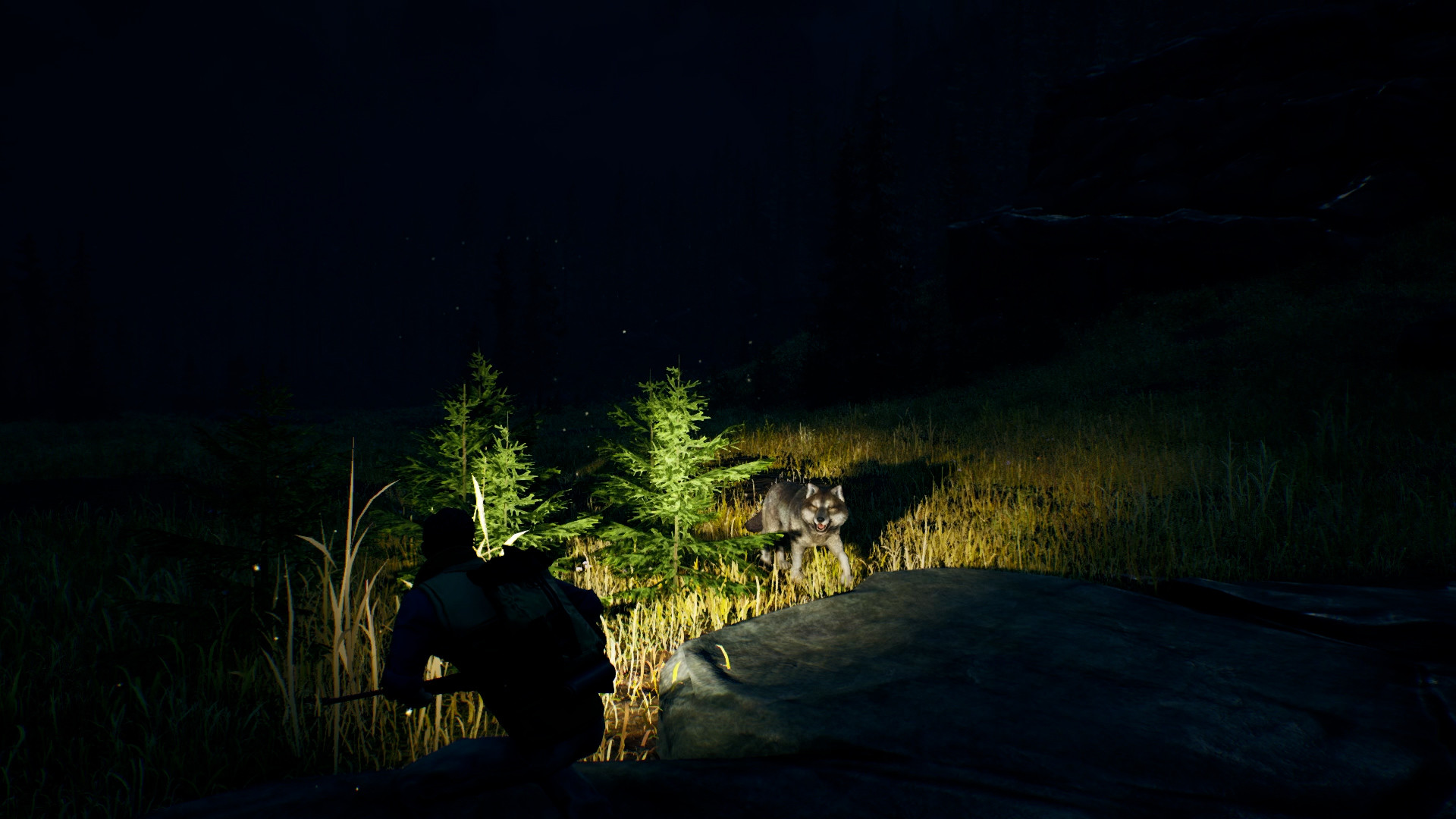 《辽阔旷野/Open Country》PC中文版下载-含v1.0.0.2670