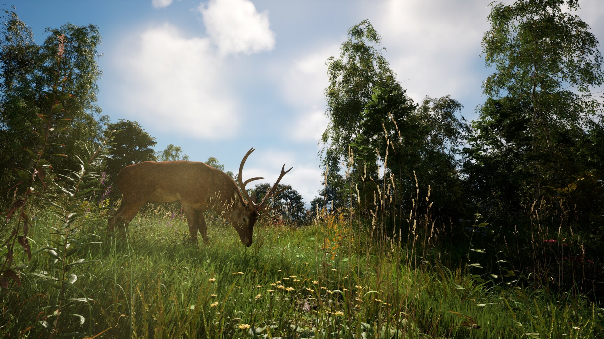 PC游戏《恐惧地带/DREADZONE》中文v1.4.4联机版下载