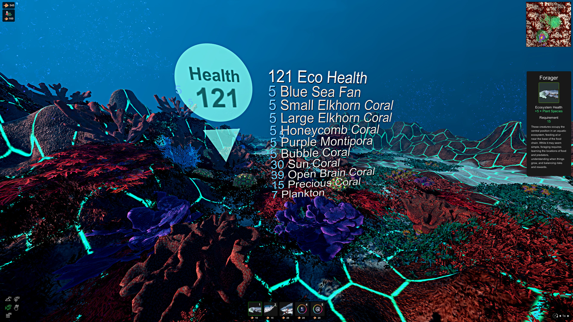 生态系统/Ecosystem_1