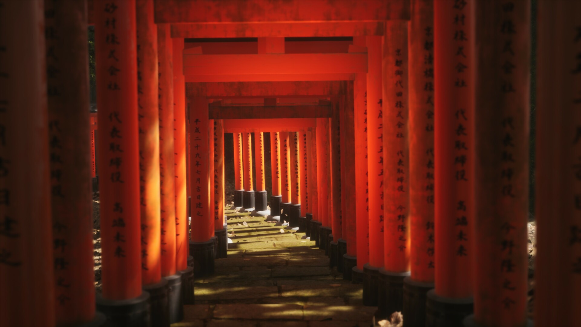 《模拟美景摄影/Lushfoil Photography Sim》PC中文版下载-含v20250930