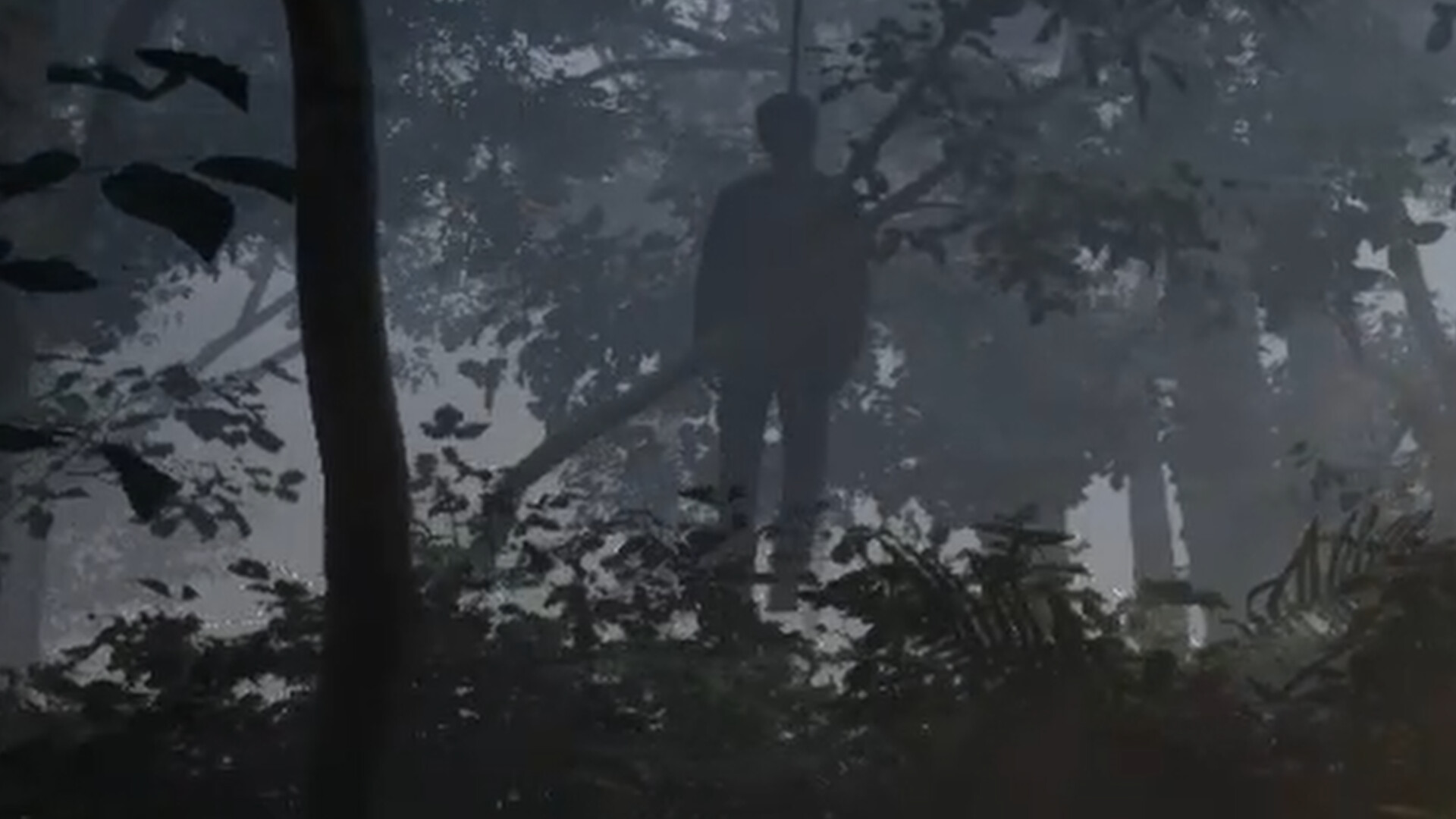 雾锁温泉/Misty Onsen_1