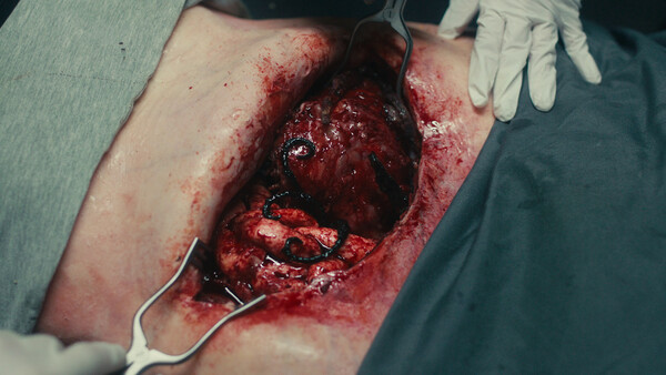 死亡重启/Dead Reset_1