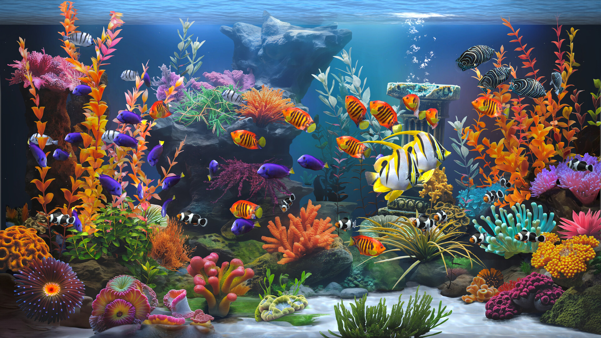 《禅意水族馆/Zen Aquarium》PC中文版下载-含Build.20073752