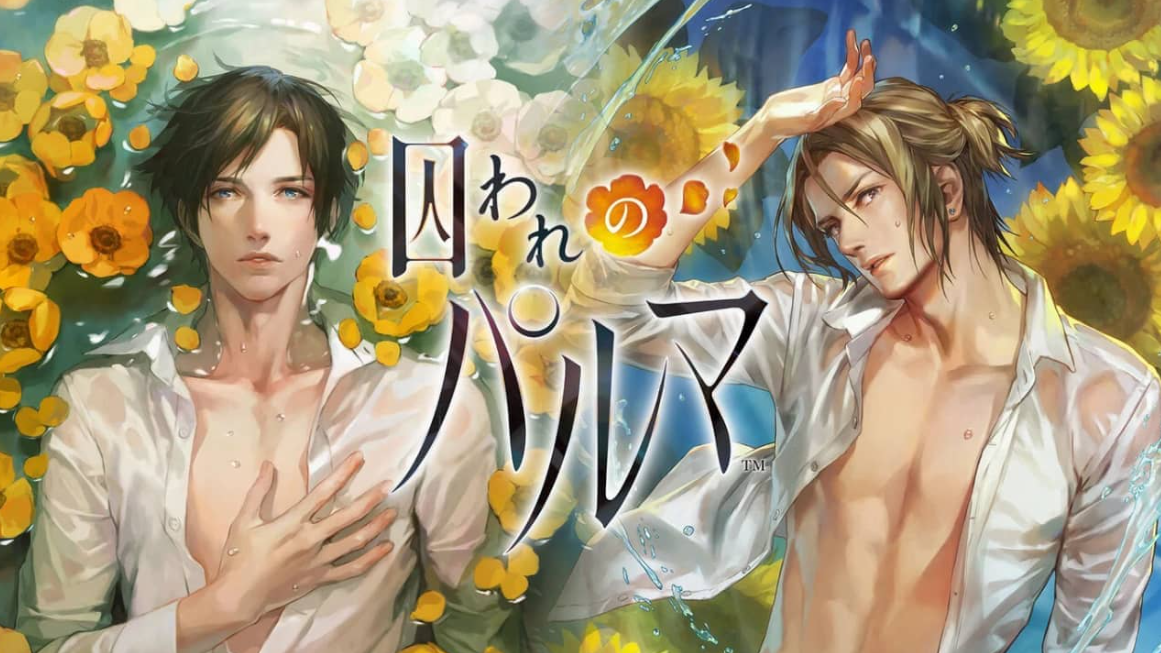 《被囚禁的掌心 Toraware no Palm Deluxe Edition》Switch中文版NSP下载 – 含1.0.1补丁+DLC