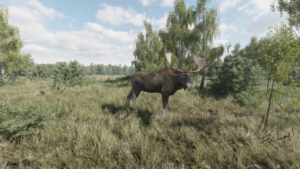 《猎捕行动/On the Hunt》PC中文版下载-含Build.20557498