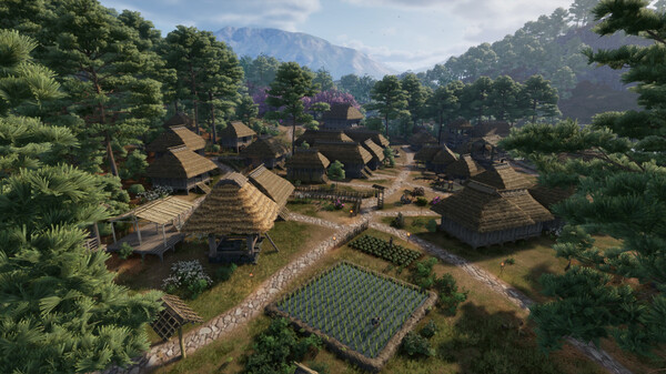 战国王朝/Sengoku Dynasty_2