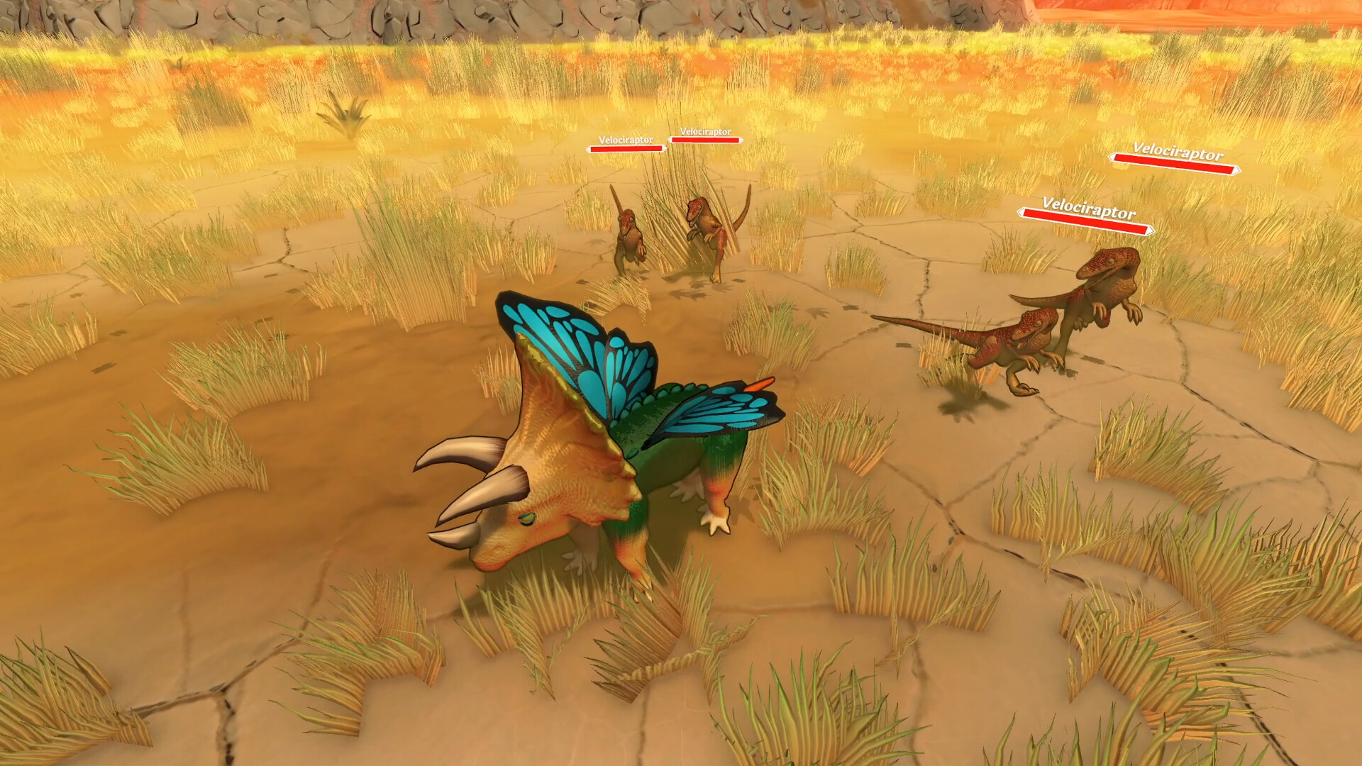 奇异种子/Strange Seed_4