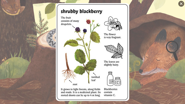 小老鼠的百科全书 Little Mouse’s Encyclopedia_2