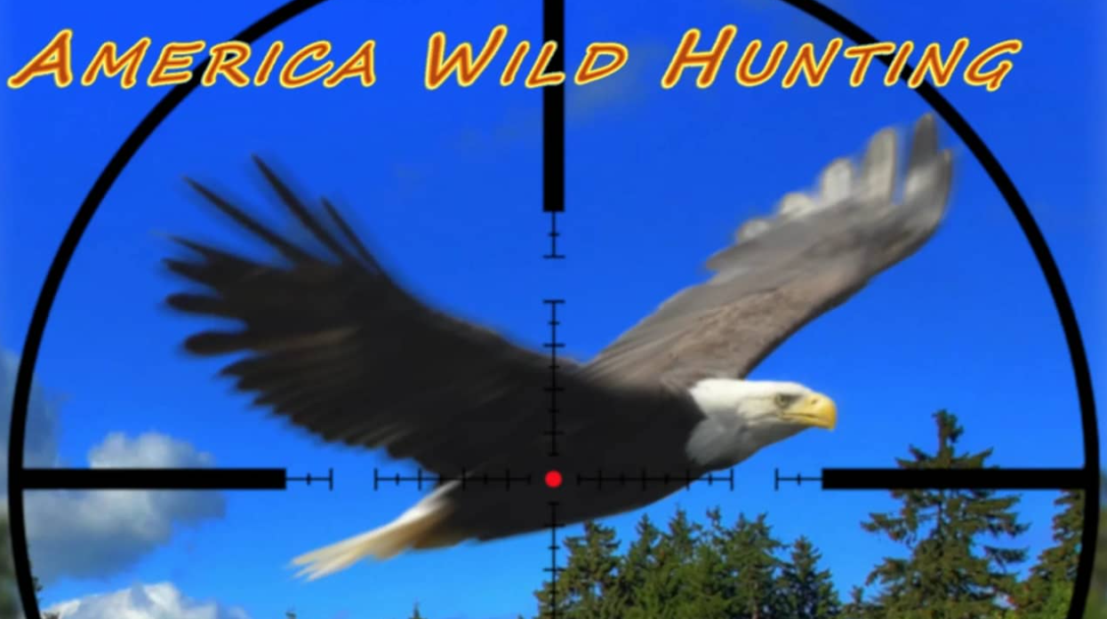 《美国野外狩猎 America Wild Hunting》Switch英文版NSZ下载
